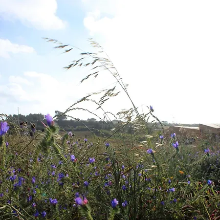 Entre Vinhas & Mar Séjour à la ferme Óbidos