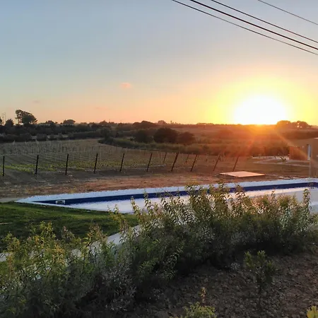 Entre Vinhas & Mar Séjour à la ferme *