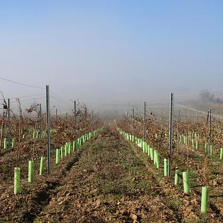 Séjour à la ferme Entre Vinhas & Mar Óbidos
