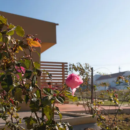 Entre Vinhas & Mar Farm stay