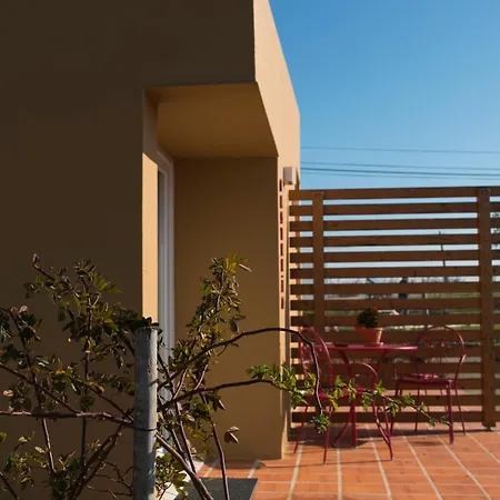 Entre Vinhas & Mar Óbidos