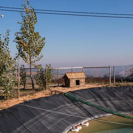Séjour à la ferme Entre Vinhas & Mar *