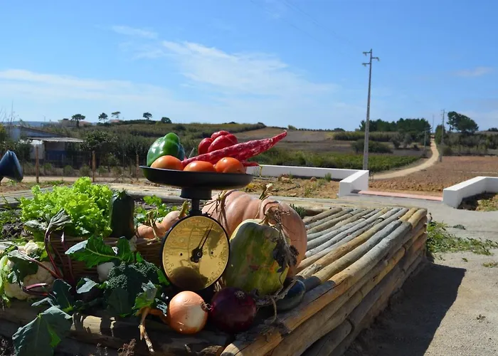 Feriegård Entre Vinhas & Mar