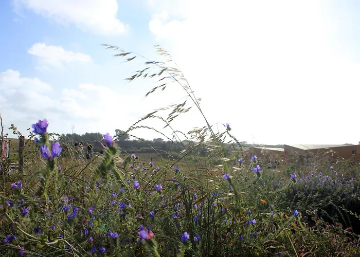 Entre Vinhas & Mar Feriegård Óbidos