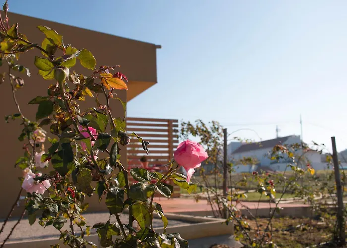 Entre Vinhas & Mar Feriegård