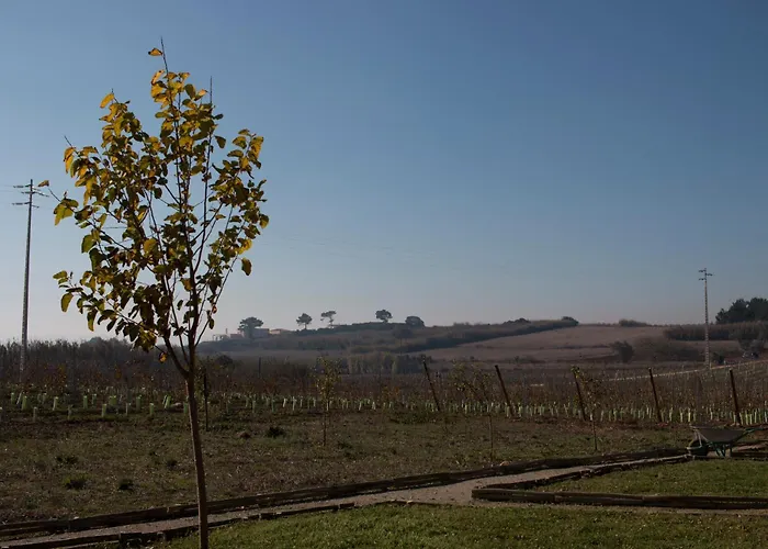 Feriegård Entre Vinhas & Mar *