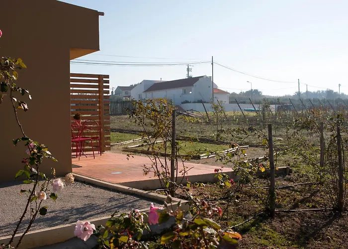 Entre Vinhas & Mar Feriegård *