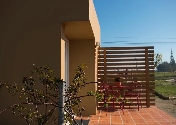 Entre Vinhas & Mar Óbidos