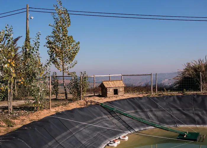 Feriegård Entre Vinhas & Mar *